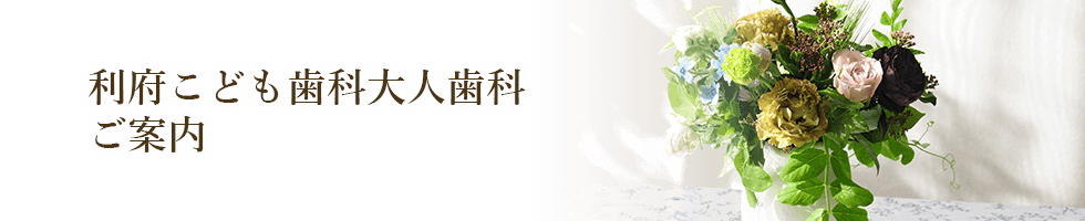 利府こども歯科大人歯科のご案内